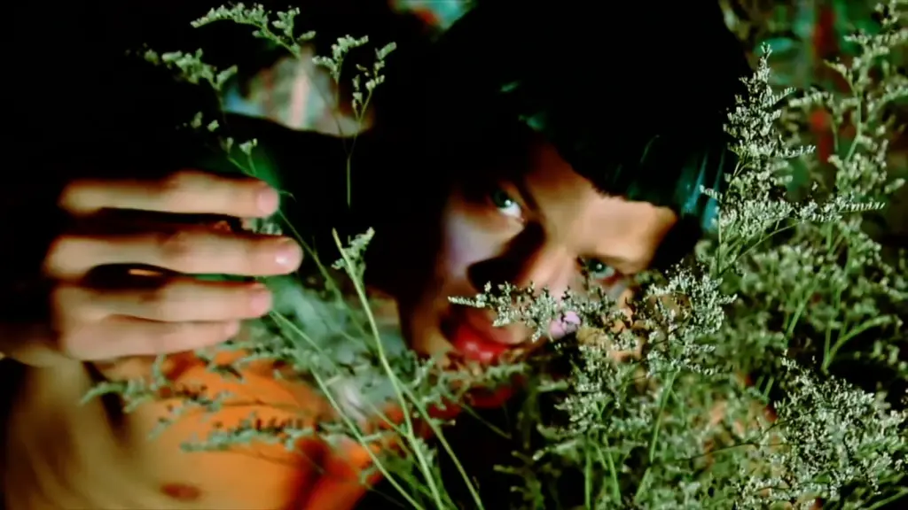 Earth Magic Part 2 imagery from Joseph Lally's film project