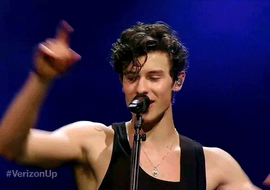 Pop Prince Shawn Mendes Speaks Out Against Florida’s ‘Don’t Say Gay’ Bill!