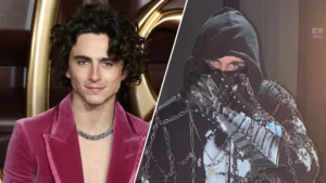 Do You Think The Following Mysterious U.K. Rapper Actually Is Timothée Chalamet?