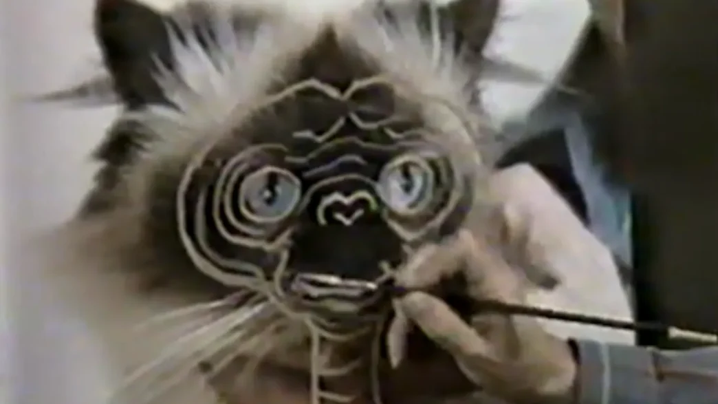 Illustration of E.T. the Extra‑Terrestrial alongside a Himalayan cat, highlighting the feline inspiration behind the alien’s expressive face.