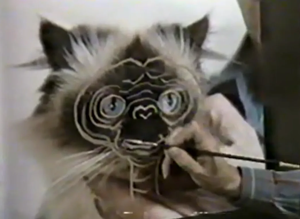 Illustration of E.T. the Extra‑Terrestrial alongside a Himalayan cat, highlighting the feline inspiration behind the alien’s expressive face.