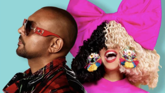 Sean Paul performing live, celebrating his first Diamond certification