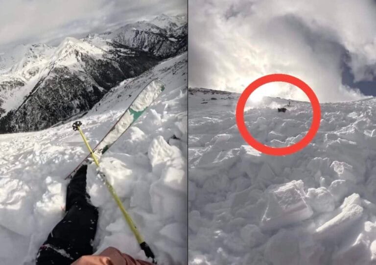 Present Day-Developments: Terrifying Skier & Her Pet Taken Down Mountain Avalanche