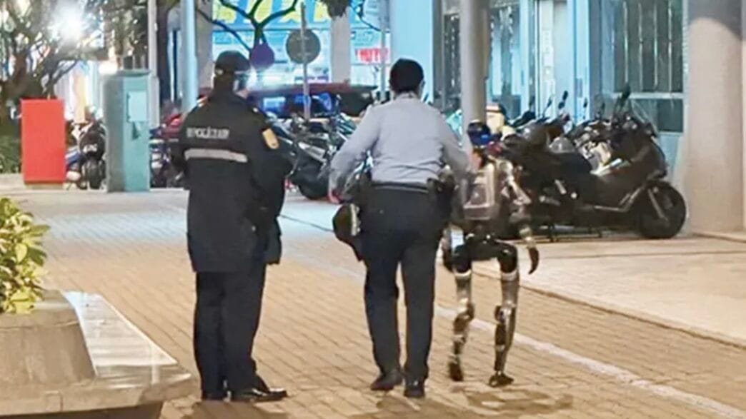 Humanoid robot stopped by police in China after harassing an elderly woman