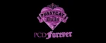 The Pussycat Dolls tease a reunion after wiping their website and Instagram.
