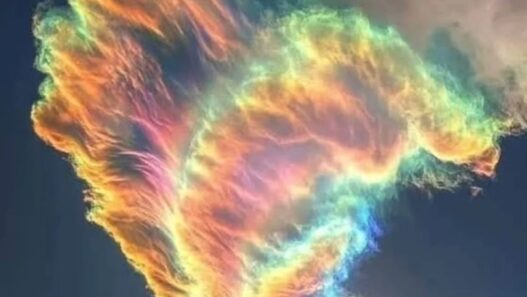 Colorful iridescent clouds forming a rare “Fire Rainbow” over New Zealand.