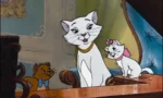 Three playful cartoon cats on a wooden windowsill: a white cat with a gold collar, a white kitten with a pink bow, and an orange cat.