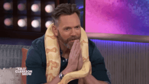 Joel McHale Terrifies Kelly Clarkson with a Massive Boa on Live TV