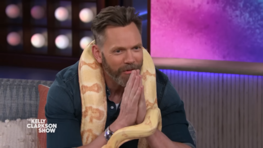 Joel McHale holding a massive boa constrictor on The Kelly Clarkson Show.