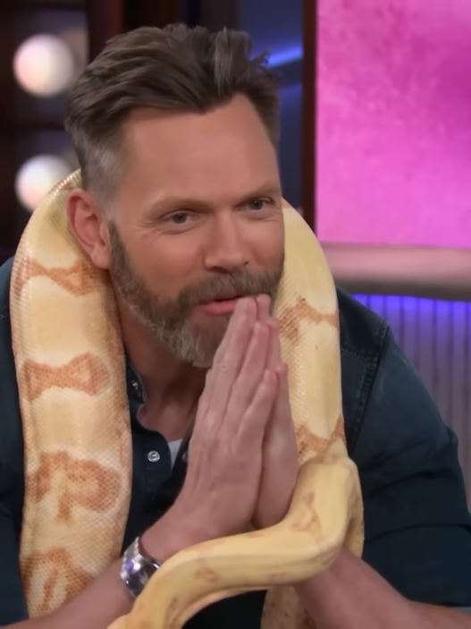 Joel McHale holding a massive boa constrictor on The Kelly Clarkson Show.