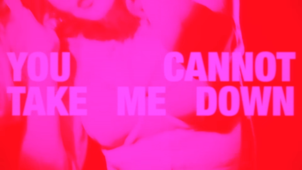 Bold neon pink poster reads 'YOU CANNOT TAKE ME DOWN' with a blurred crowd behind it, high-contrast protest-style graphic.
