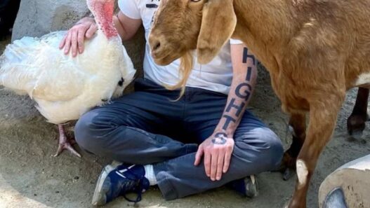 Man with glasses sits cross-legged on dirt, petting a white turkey while a brown goat stands nearby in a rocky outdoor setting; a guitar rests on the rocks behind them.
