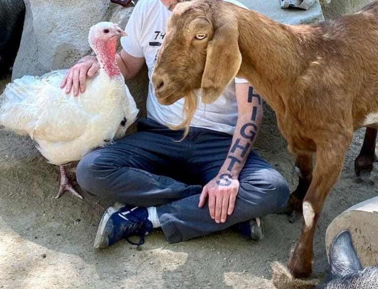 Man with glasses sits cross-legged on dirt, petting a white turkey while a brown goat stands nearby in a rocky outdoor setting; a guitar rests on the rocks behind them.