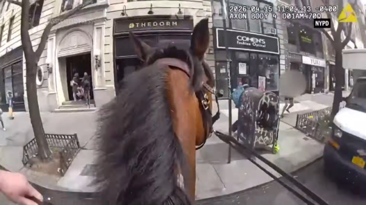 Close-up view of a horse's head and neck wearing a bridle as a mounted officer rides down a city sidewalk. A storefront row and pedestrians are in the background (NYPD video).