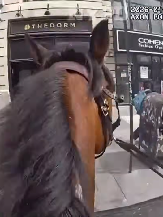 Close-up view of a horse's head and neck wearing a bridle as a mounted officer rides down a city sidewalk. A storefront row and pedestrians are in the background (NYPD video).