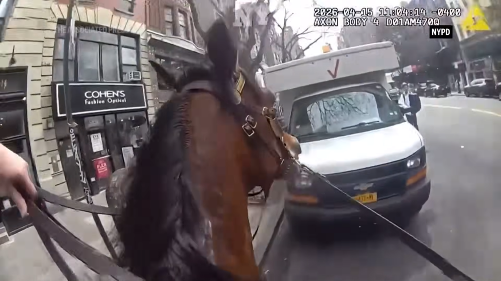 Horse being walked on a city sidewalk beside a parked white delivery van; Cohen's Fashion Optical storefront visible on the building.