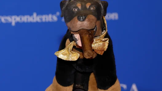 Triumph the Insult Comic Dog roasting guests on the WHCD red carpet.