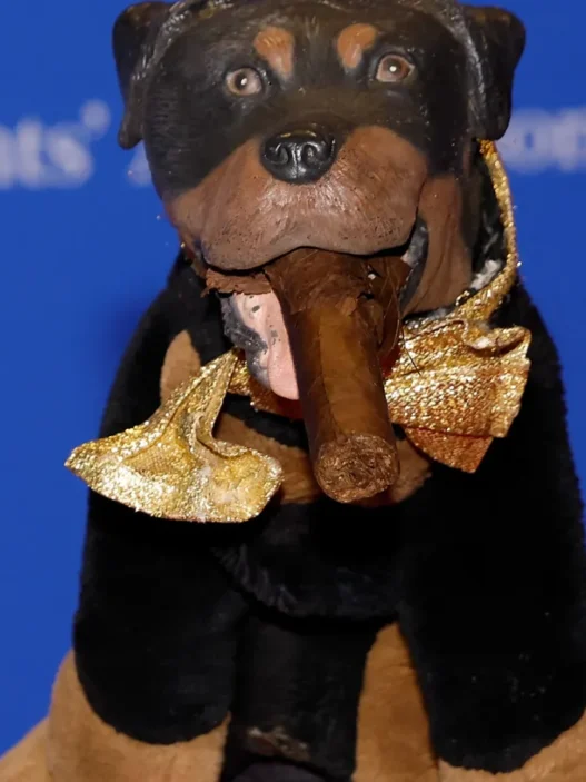 Stuffed black-and-tan dog with a gold ribbon around its neck and a large cigar in its mouth against a blue background.