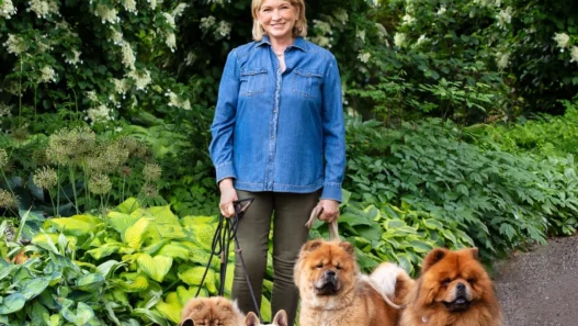 Smiling woman in a denim shirt standing with six dogs in a lush garden.