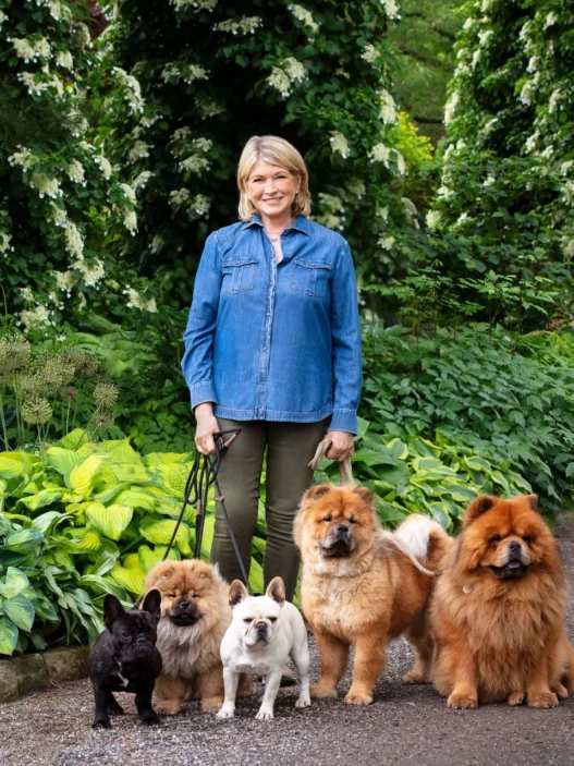 Smiling woman in a denim shirt standing with six dogs in a lush garden.