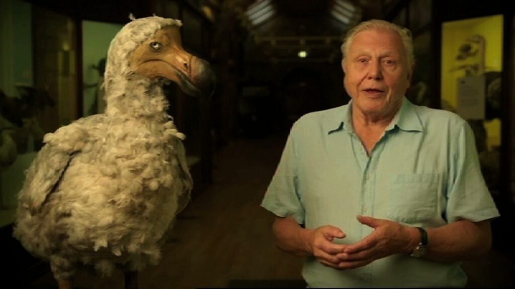 Older man in a pale green shirt stands beside a large, fluffy pale bird (likely taxidermy) in a museum.