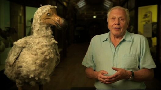 Older man in a pale green shirt stands beside a large, fluffy pale bird (likely taxidermy) in a museum.