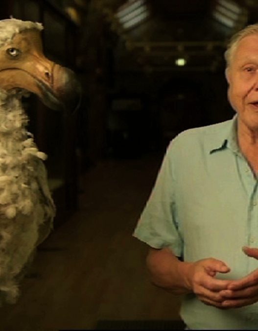 Older man in a pale green shirt stands beside a large, fluffy pale bird (likely taxidermy) in a museum.