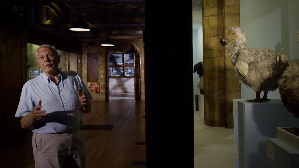 Older man in a light-blue shirt speaks to the camera in a museum hallway, with a large ostrich sculpture on the right.