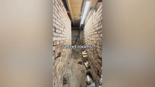Hidden cellar discovered beneath floorboards during a Sheffield home renovation.