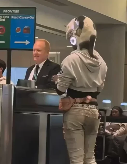 Passenger standing at airport desk with a cat sitting on his head.