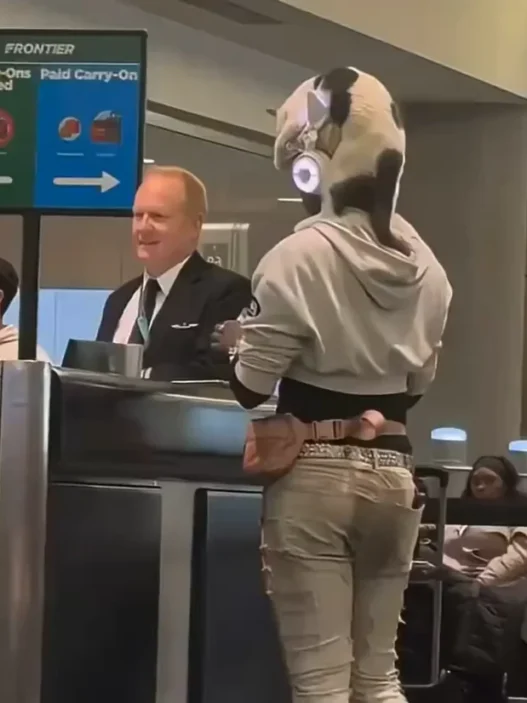 Passenger standing at airport desk with a cat sitting on his head.