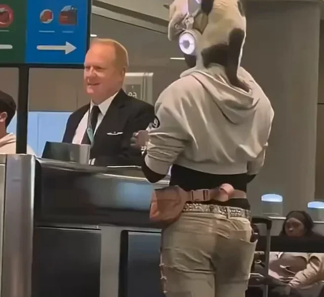 Passenger standing at airport desk with a cat sitting on his head.