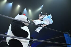 Panda mascot facing off with a female wrestler in a blue frilly outfit performing a flying kick inside a wrestling ring.