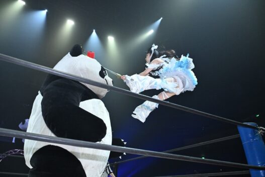 Panda mascot facing off with a female wrestler in a blue frilly outfit performing a flying kick inside a wrestling ring.