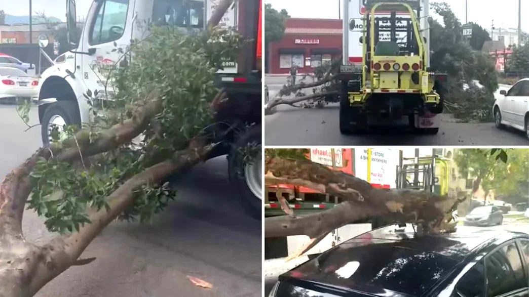 U-Haul truck dragging a large tree branch through North Hollywood while damaging parked cars