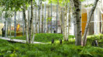 Indoor glass-walled atrium with birch trees and lush green ground cover; people visible inside the building.