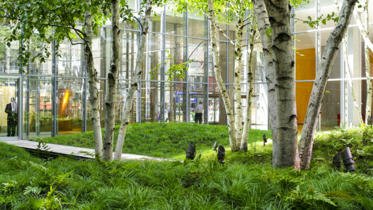 Indoor garden featuring 40 types of trees, shrubs, and flowers inside a New York City lobby.