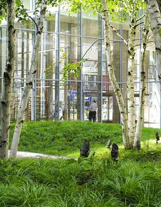 Indoor glass-walled atrium with birch trees and lush green ground cover; people visible inside the building.