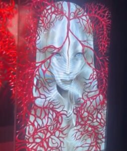 Björk Nerve Bloom demo screenshot from the echolalia exhibition at the National Gallery of Iceland