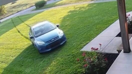 Amazon delivery driver vehicle captured on home security camera driving across a front lawn in Indiana.