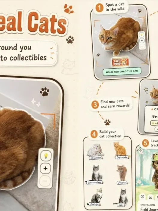 CatchCat app turning a real-life cat into an AI collectible game card