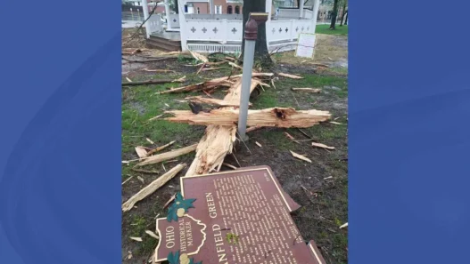 News report about a woman who survived a lightning strike outside a church after a nearby tree split open