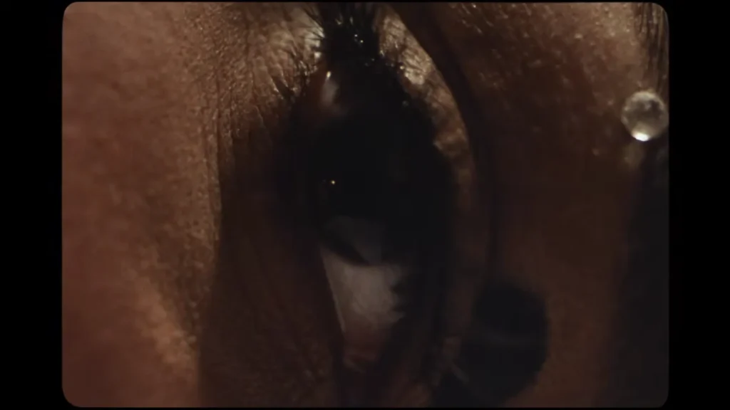 Ambar Lucid wearing a wide-brim hat in the Get Lost In The Music official video