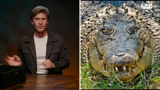 Robert Irwin sits for LADbible Stories Honesty Box while discussing wildlife, animals and conservation.
