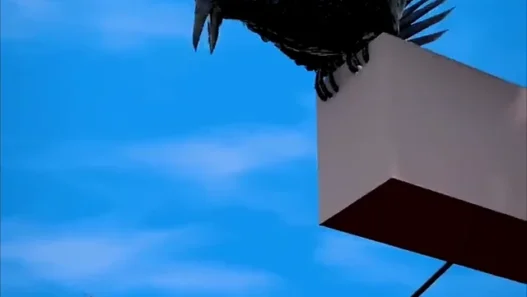 A New Orleans crow connected to a viral local story about a protective mother bird swooping at people on the sidewalk.