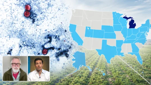 Cyclospora parasites beside a map of U.S. states reporting cases, with Rutgers food-safety expert Donald Schaffner and a DW News host shown in a small inset