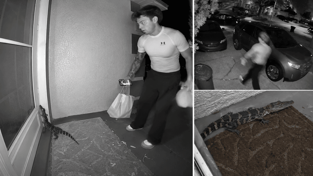 Doorbell camera footage showing a DoorDash driver reacting to a baby alligator near a Florida front door at night.