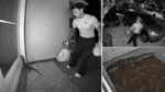 Doorbell camera footage showing a DoorDash driver reacting to a baby alligator near a Florida front door at night.