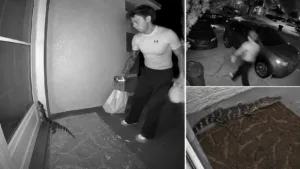 Doorbell camera footage showing a DoorDash driver reacting to a baby alligator near a Florida front door at night.
