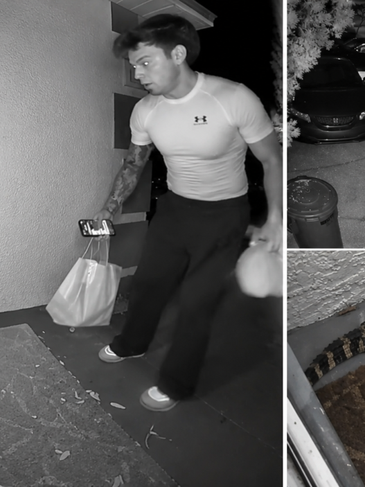 Doorbell camera footage showing a DoorDash driver reacting to a baby alligator near a Florida front door at night.